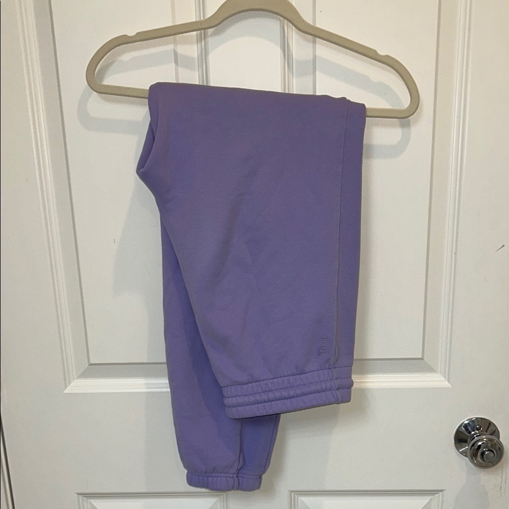ARITZIA TNA Purple Jogger Pants